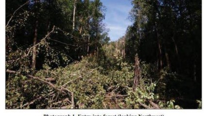 美军:飞行员慌乱中弃机弹射时,F-35战机并未失控