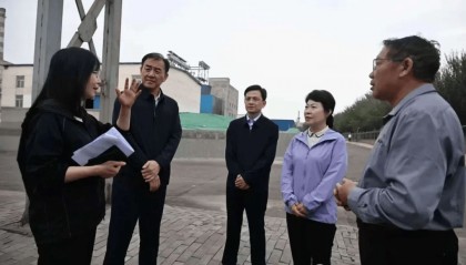 王莉霞在乌海市现场督导中央生态环境保护督察通报典型案例整改工作