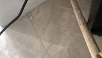 广州一小区2年抓到超60条蛇?业主:家里来过两三条,有条还钻进鞋子里