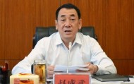中央提级巡视时，赵成武被查