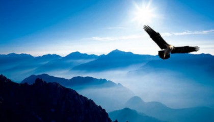 公司使命是什么