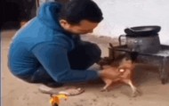 粘着鸡毛鸡屎的土鸡蛋，要先洗干净再放冰箱吗？