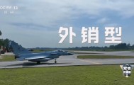歼-10传奇：外销型战机首次实战大放异彩 到底有多厉害？