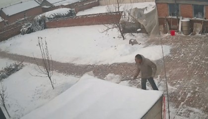 “儿子，咱家杀年猪能回吗？”吉林一父亲对着监控隔空喊话，儿子次日买票回家