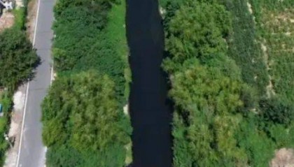 去年整改过的“黑水河”，今年怎么又黑了？ | 新京报快评