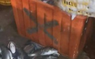 水产市场“麻醉鱼”调查：有商家称麻药有味会换水再卖，有无危害尚不明