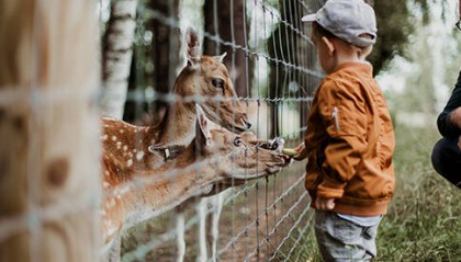 孩子一年级人民币换算学不会怎么办