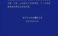 上百亩土豆遭村民“哄抢”，安徽宿州警方通报最新进展