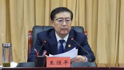 新疆生产建设兵团王胜平，被查