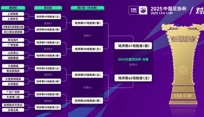 又见上海德比!足协杯16强抽签:海港对阵申花 泰山战蓉城