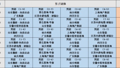 樊振东确认出战2025乒超联赛，平野美宇与孙颖莎成队友，张本美和效力成都队