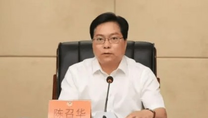 浙江官宣：陈召华，主动投案