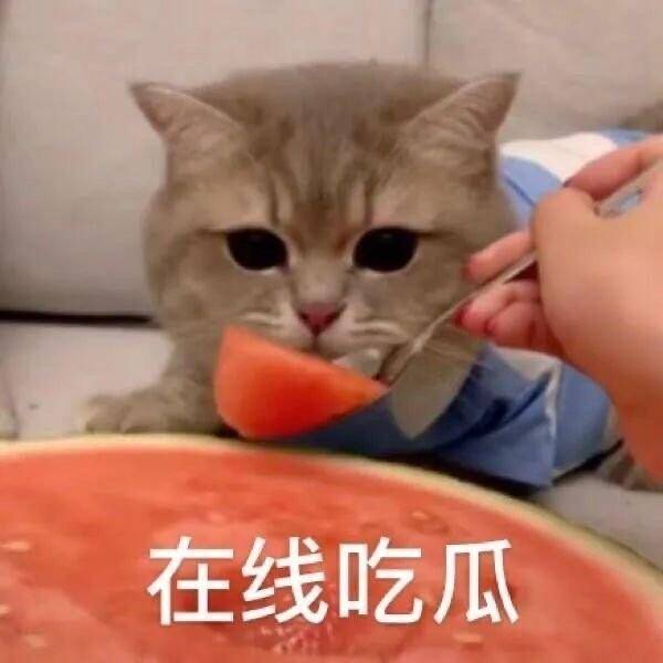一夜爆火又光速下架！苹果商店这APP的瓜有点大
