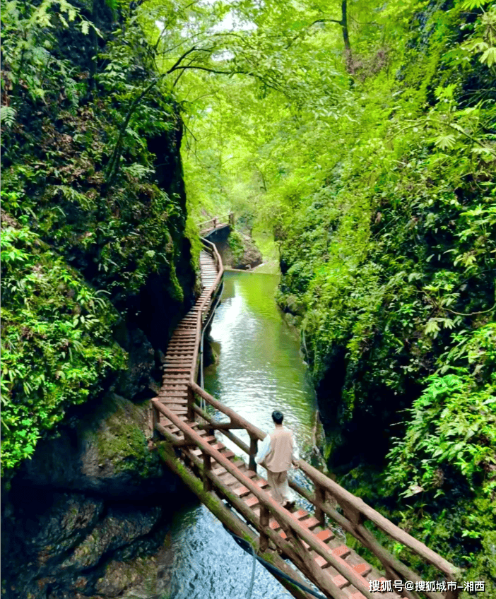 8-9月成都旅游4天怎么玩？成都爆火四日游路线，去玩不踩雷！
