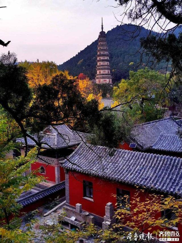 热闻|“悟空”火爆全网，36个取景地也火了！济南“猫猫寺”也是取景地，网友：快接住这泼天的富贵