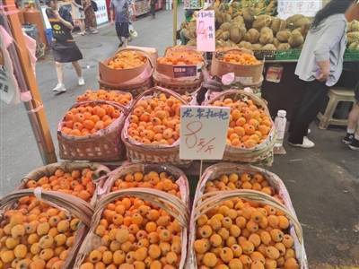 价格“腰斩” 成都枇杷大量上市