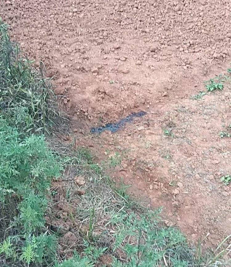 工人如厕被误当猎物枪击身亡，亲属：他此次打工是为攒钱筹备女儿婚礼