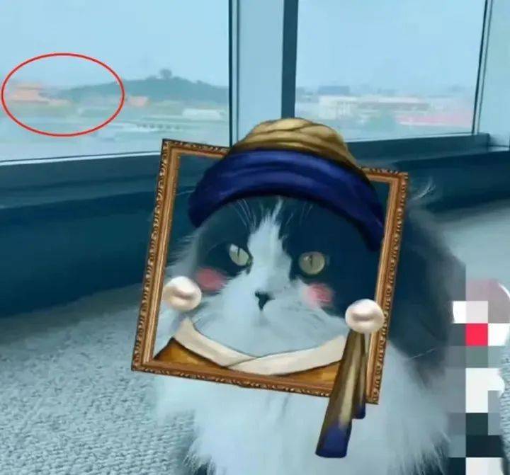 冲上热搜!知名女演员的富豪丈夫,被限制高消费