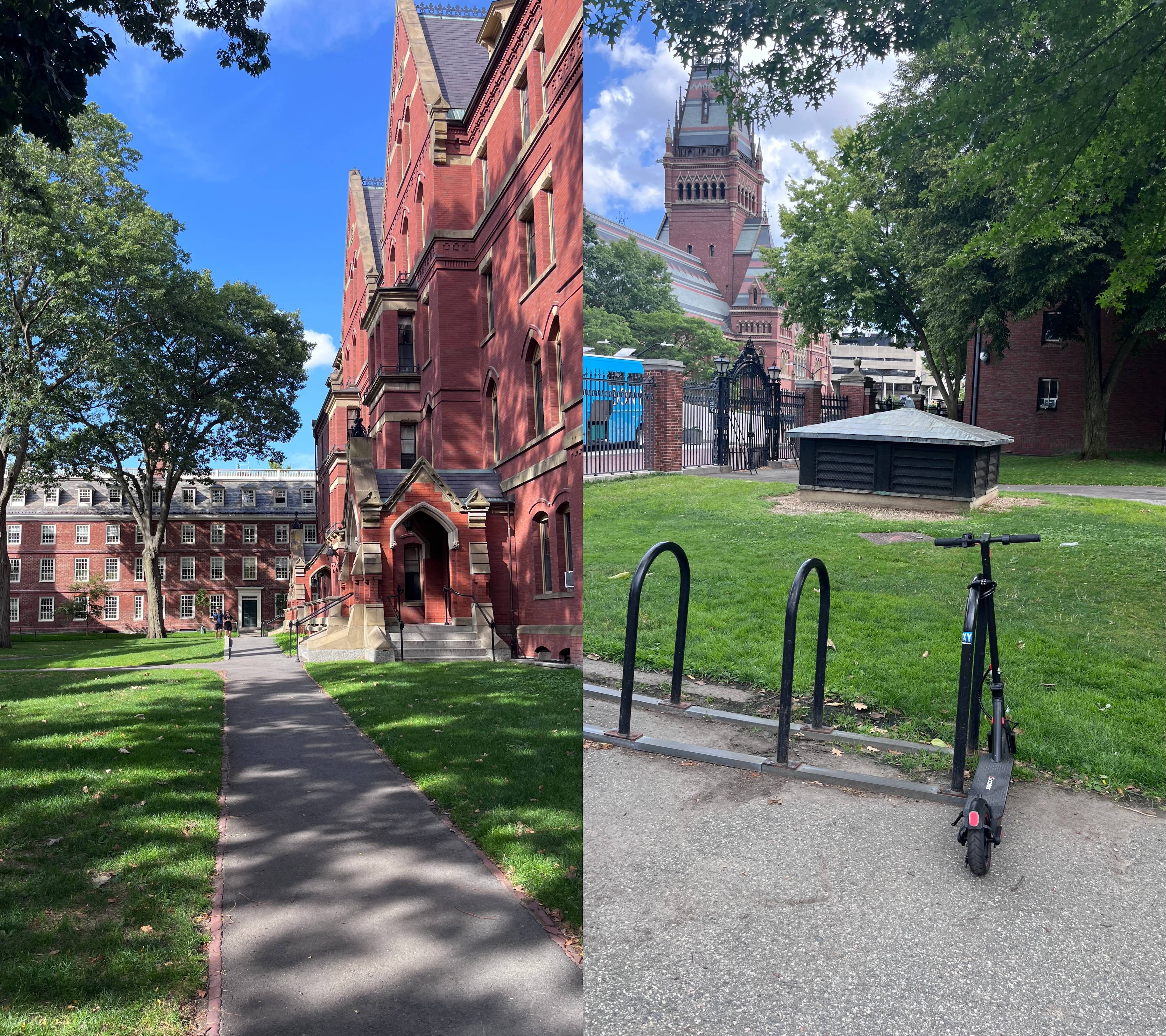 县城女孩赴美留学 哈佛梦值不值200万?