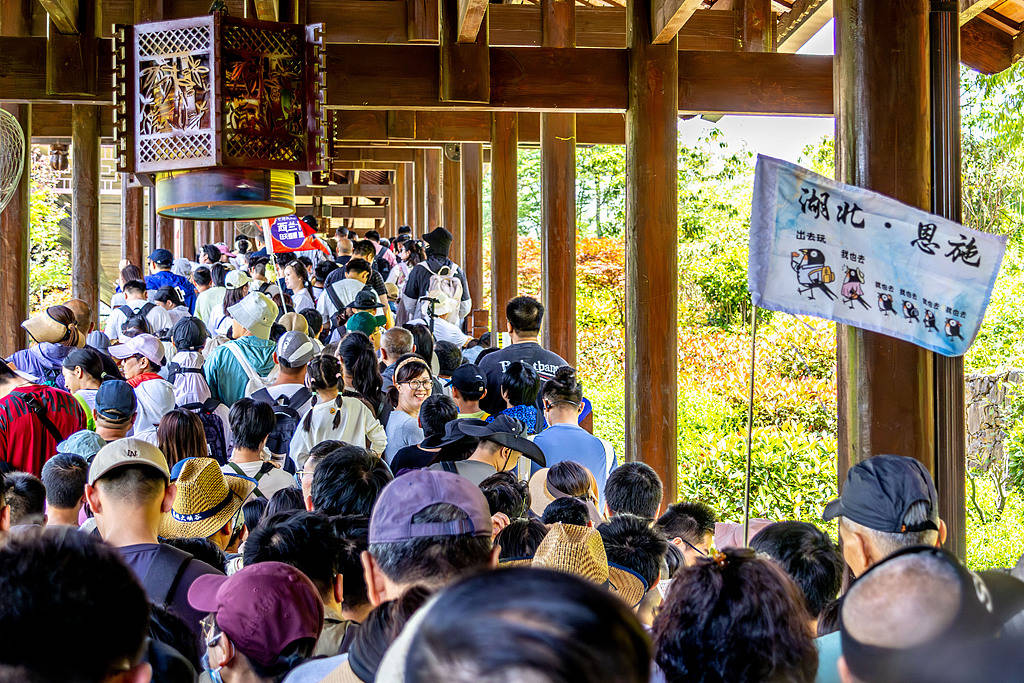 5A级景区付费可“插队”？市场手段用错了地方