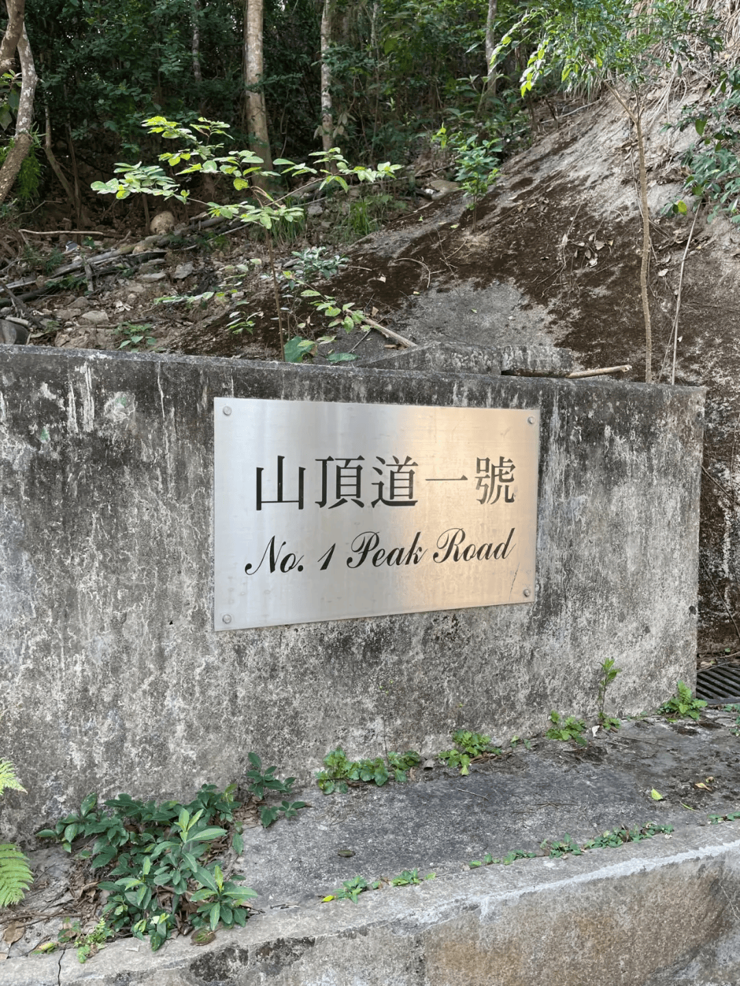 香港顶级豪宅“山顶道1号”发生命案，31岁菲佣在房内自尽；金庸夫妇曾居住11年，市价超5.6亿港元或成香港最贵凶宅