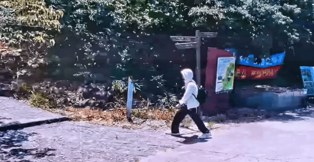 深圳登山失联约70天,27岁男子遗体疑被找到已遇难,其位于一块大石头下,家属回应