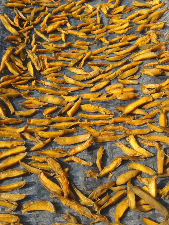 霜降至,气温会有反转吗?