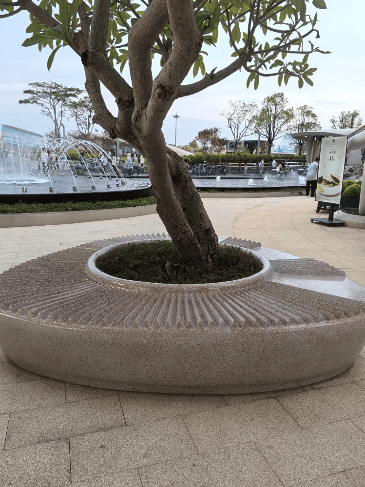 深圳一公园附近现“搓衣板”状绕树石凳,回应:不属公园范围,并非为防止躺卧,出于美观设计